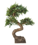 Kunstlik bonsai-jalakas