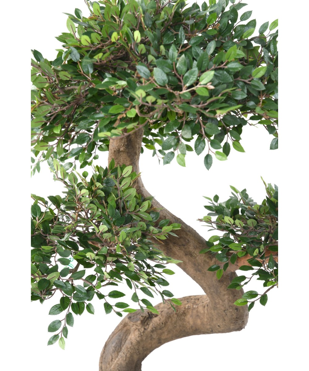 Kunstlik bonsai-jalakas