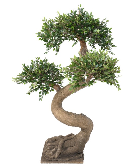 Kunstlik bonsai-jalakas