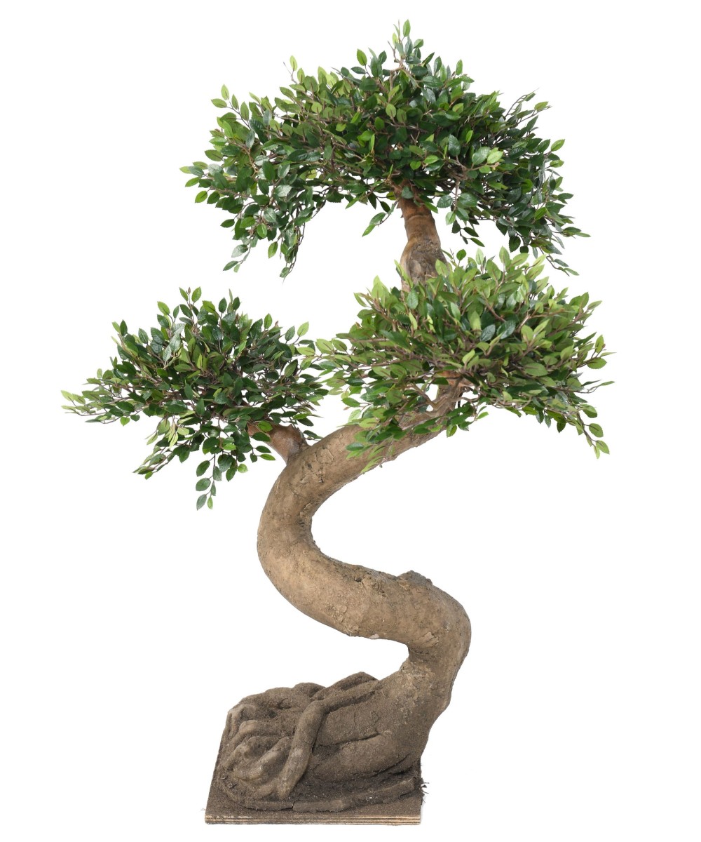 Kunstlik bonsai-jalakas