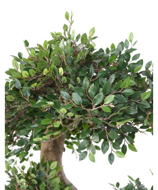 Artificial BONSAI ELM