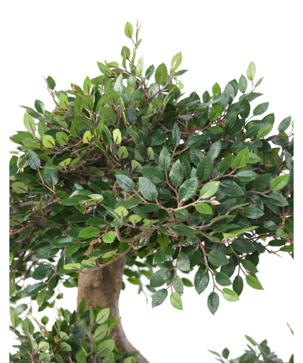 Artificial BONSAI ELM