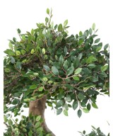 Artificial BONSAI ELM