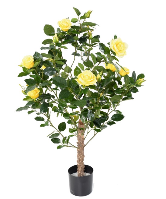 Artificial ROSE