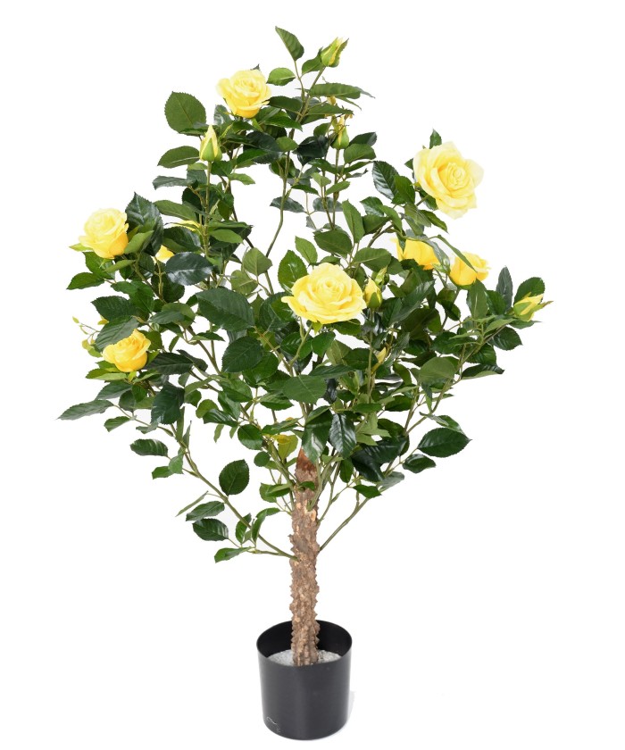 Artificial ROSE