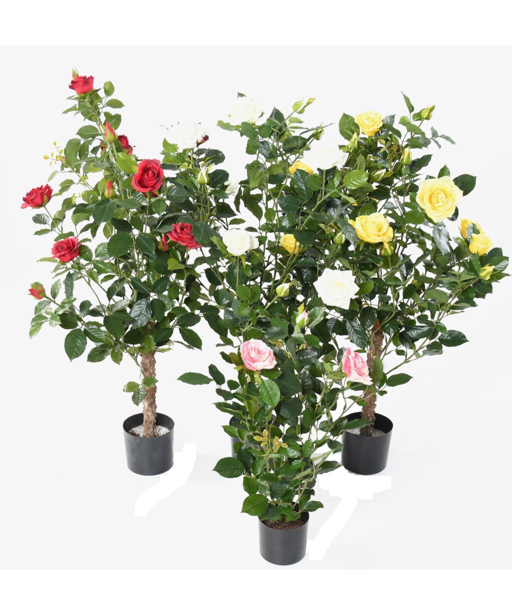 Artificial ROSE