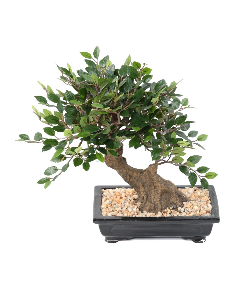 Kunstlik BONSAI JALAKAS KAUSIS kruus