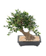 Kunstlik BONSAI JALAKAS KAUSIS kruus