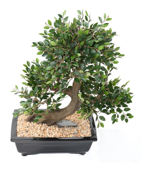 Kunstlik BONSAI JALAKAS KAUSIS kruus