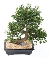 Artificial BONSAI ELM IN BOWL gravel