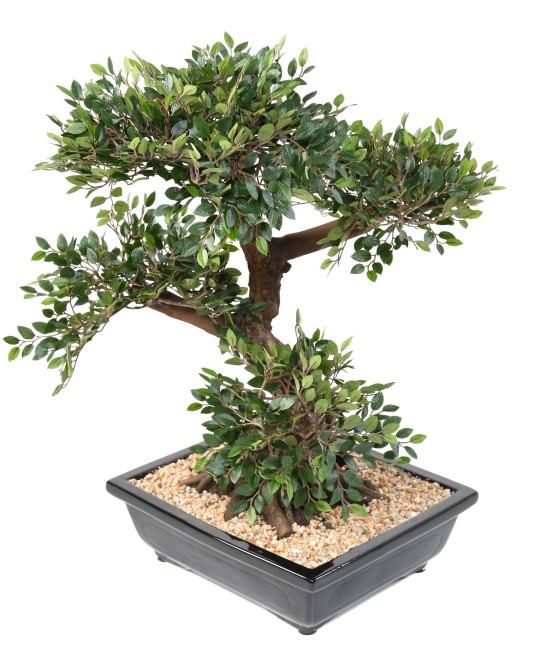 Artificial BONSAI ELM IN BOWL gravel
