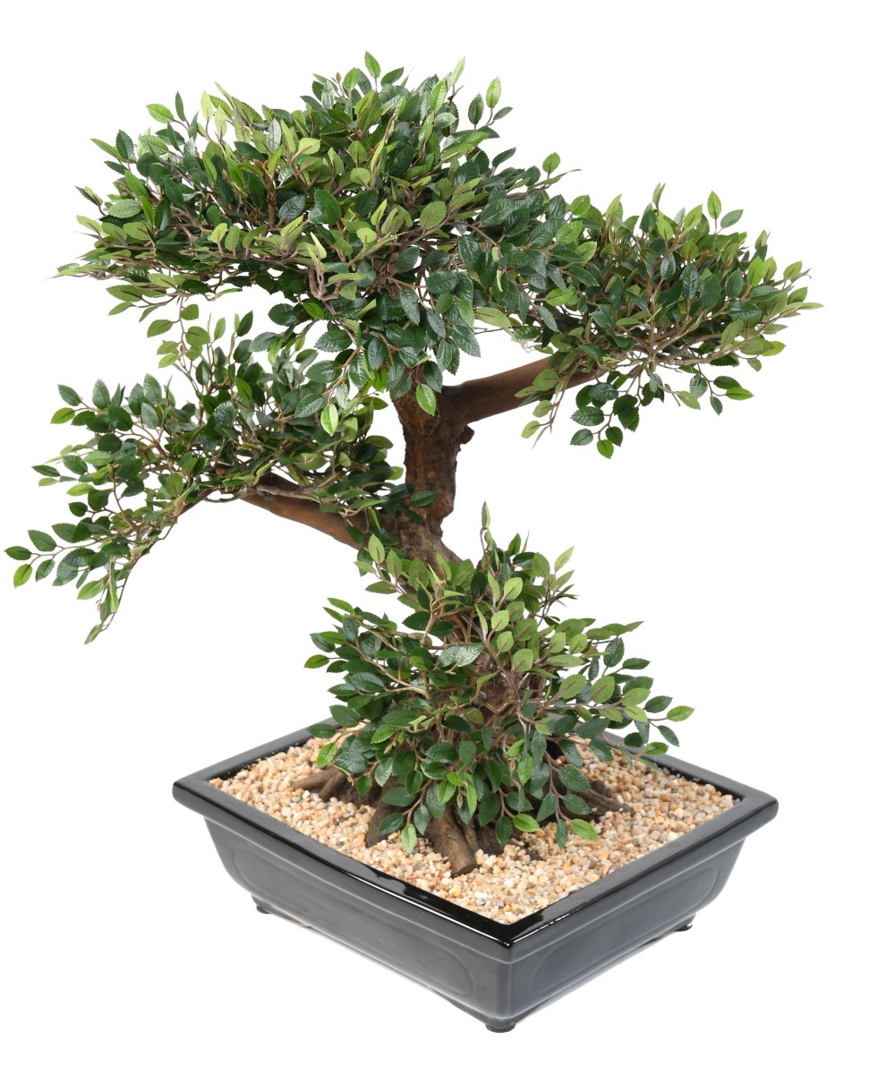 Kunstlik bonsai-jalakas kausis, kruus