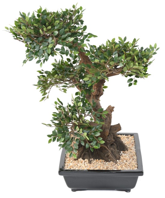 Artificial BONSAI ELM IN BOWL gravel