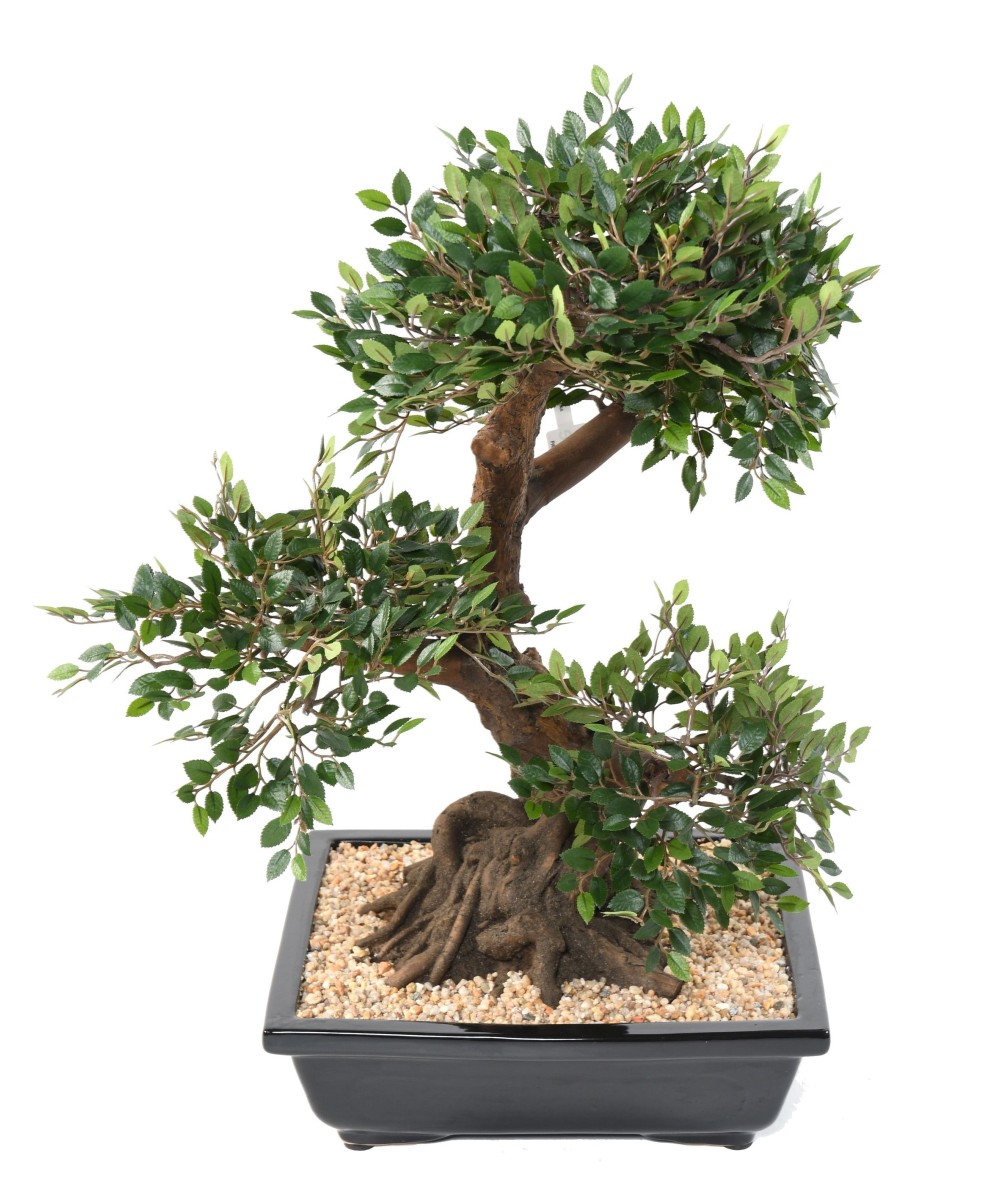 Kunstlik bonsai-jalakas kausis, kruus