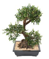 Artificial BONSAI ELM IN BOWL gravel