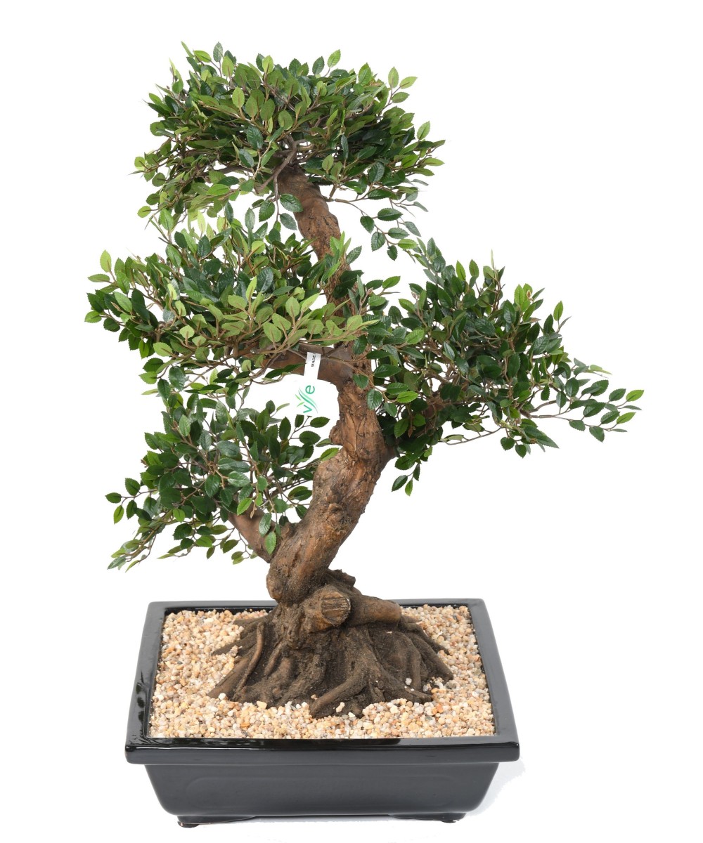 Kunstlik bonsai-jalakas kausis, kruus
