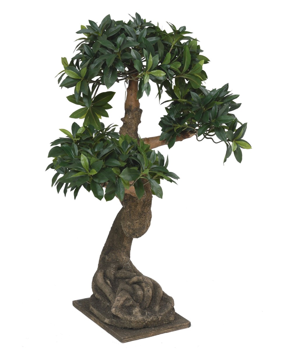 Artificial BONSAI EUONYMUS JAPONICUS FICUS