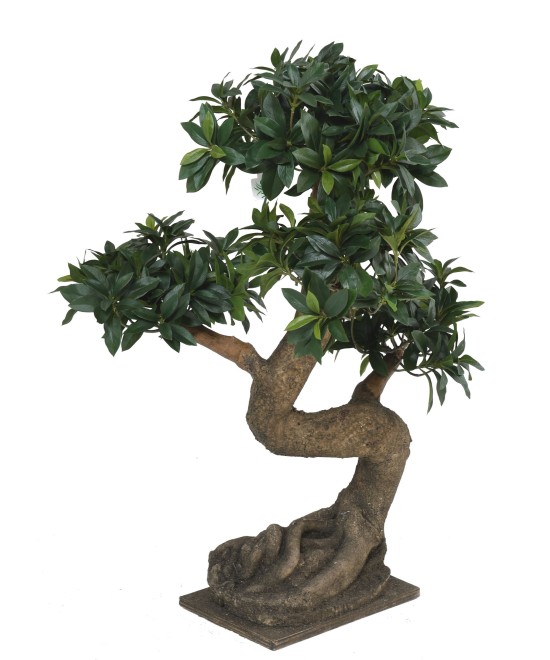 Artificial BONSAI EUONYMUS JAPONICUS FICUS