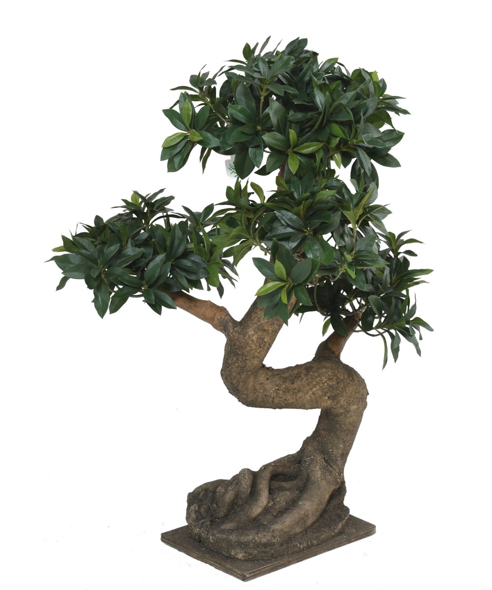 Kunstlik BONSAI EUONYMUS JAPONICUS FICUS