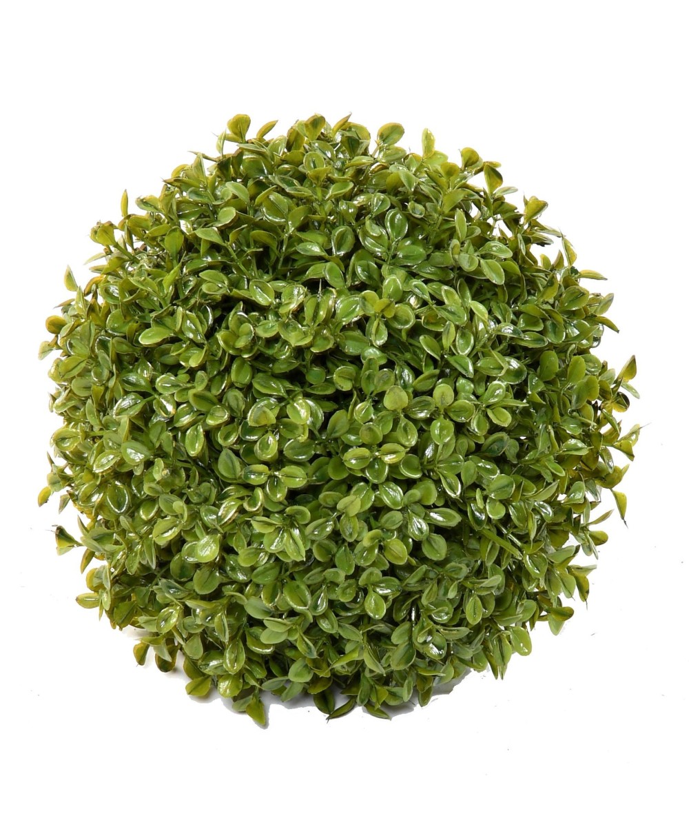 BOXWOOD BALL STK Single (Net promotional price)