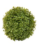 BOXWOOD BALL STK Single (Net promotional price)