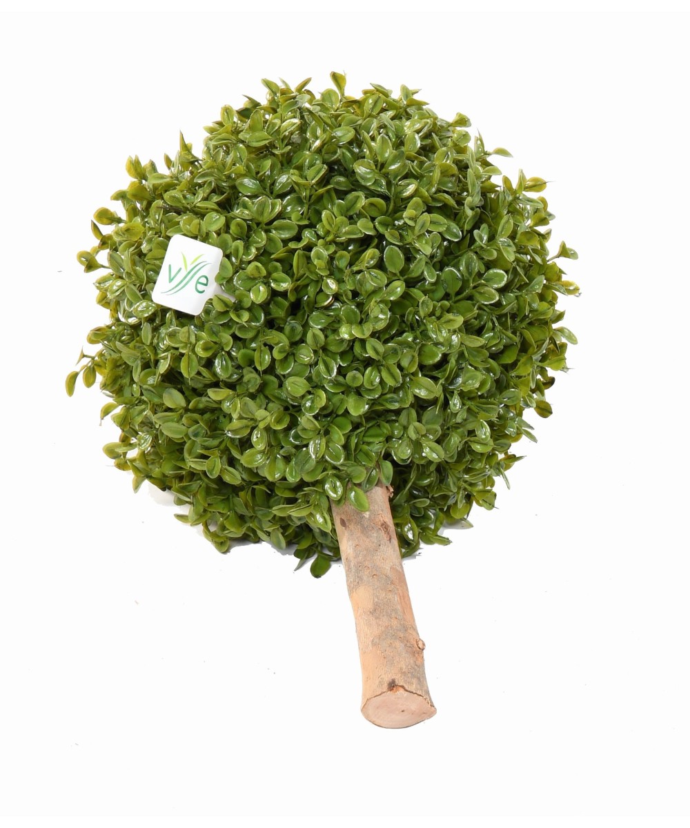 BOXWOOD BALL STK (Net promotional price)