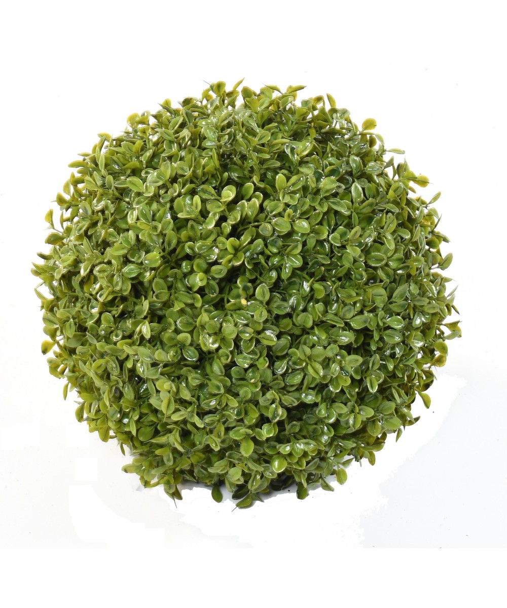 BOXWOOD BALL STK (Net promotional price)