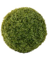 BOXWOOD BALL STK (Net promotional price)