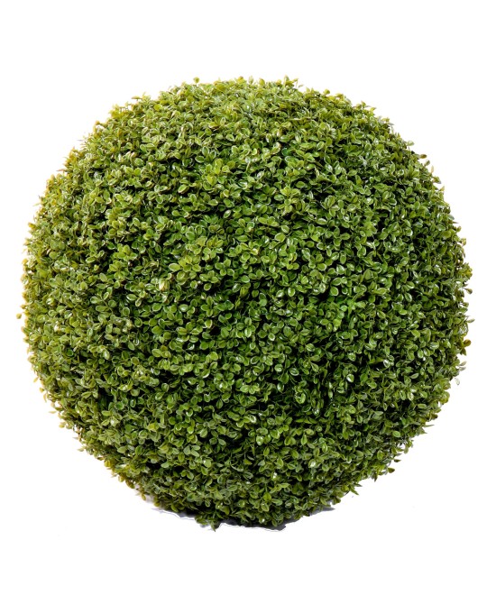 BOXWOOD BALL STK (Net promotional price)