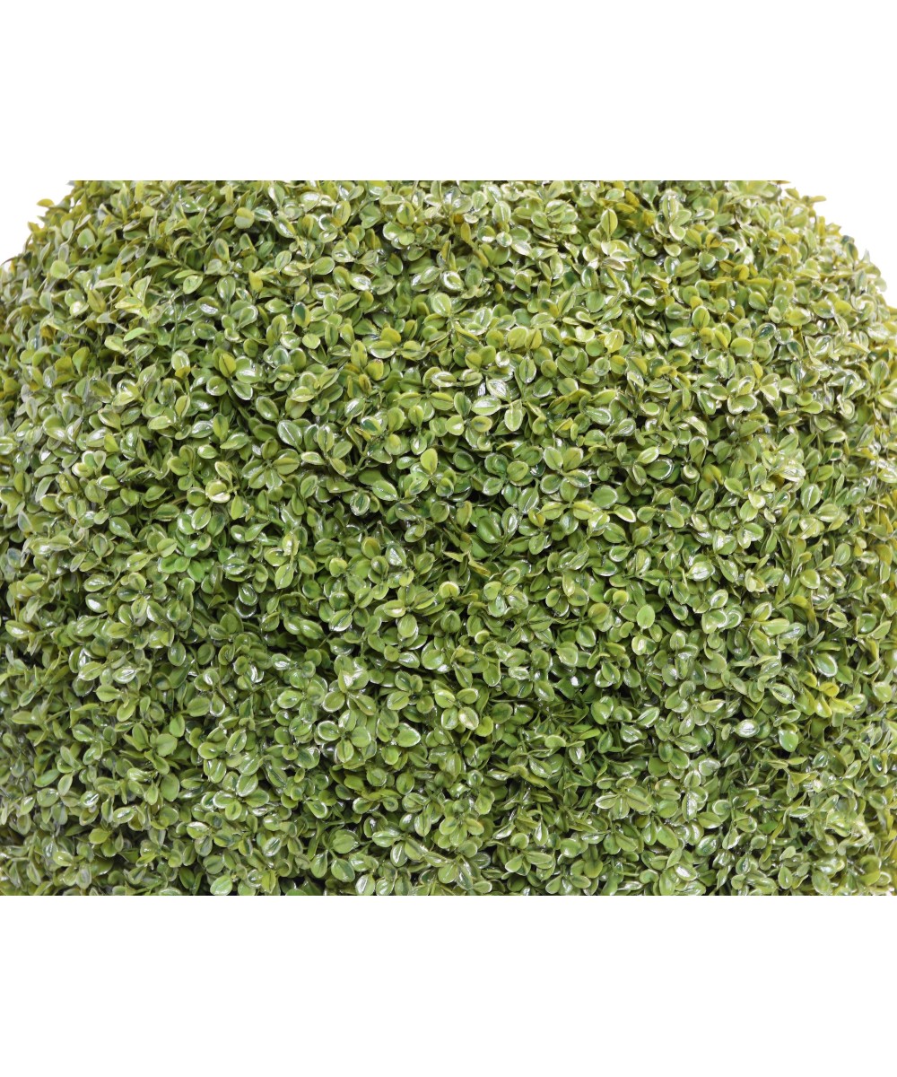 BOXWOOD BALL STK (Net promotional price)