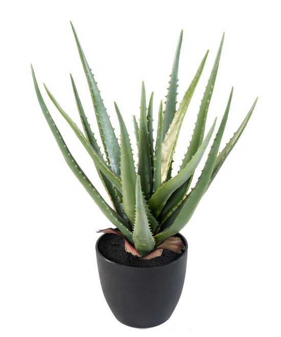 Kunstlik ALOE 48