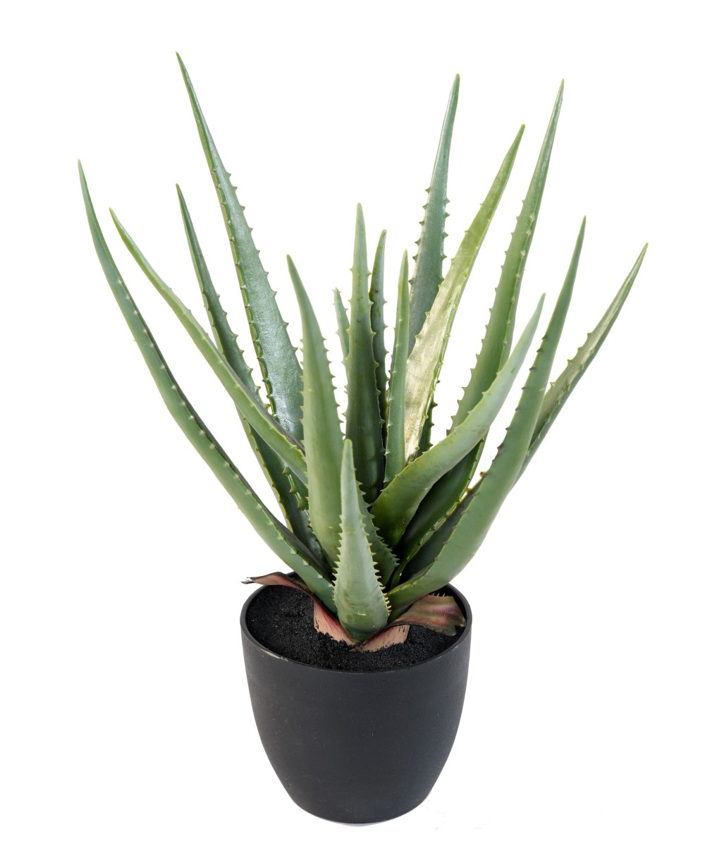 Kunstlik ALOE 48