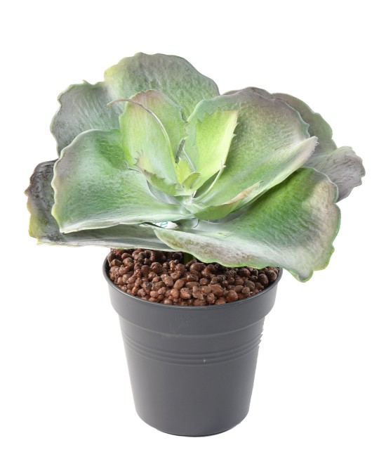 Artificial ROUND SUCCULENT 24