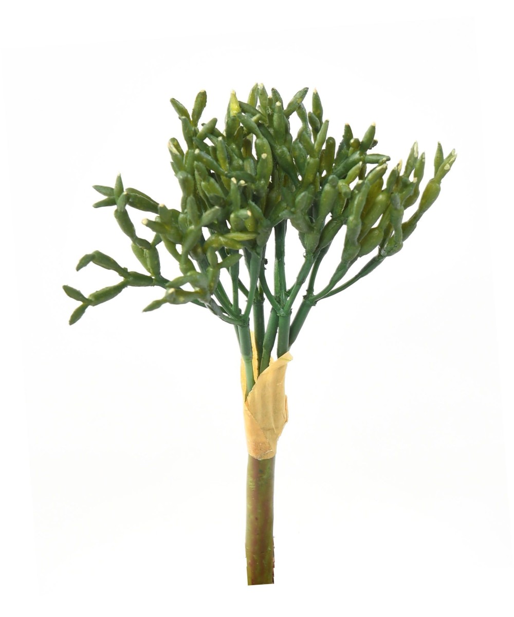Artificial RHIPSALIS