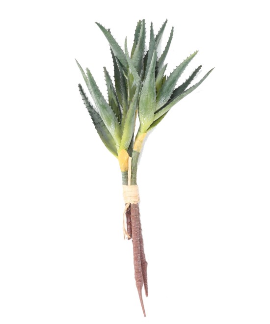 Kunstlik ALOE 35