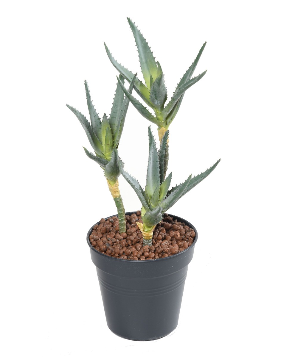 Kunstlik ALOE 35