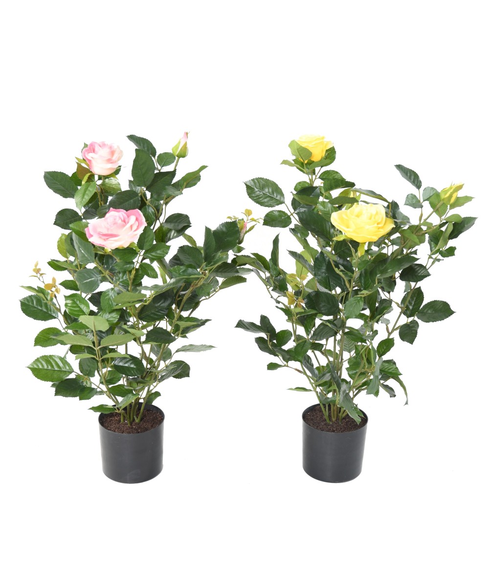 Artificial ROSE