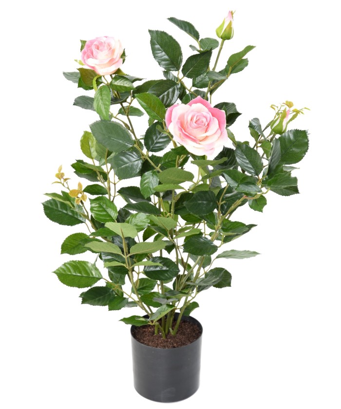 Artificial ROSE