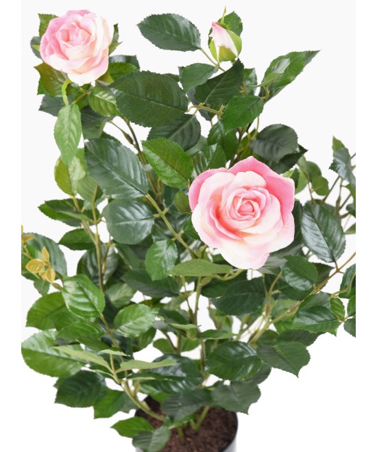 Artificial ROSE