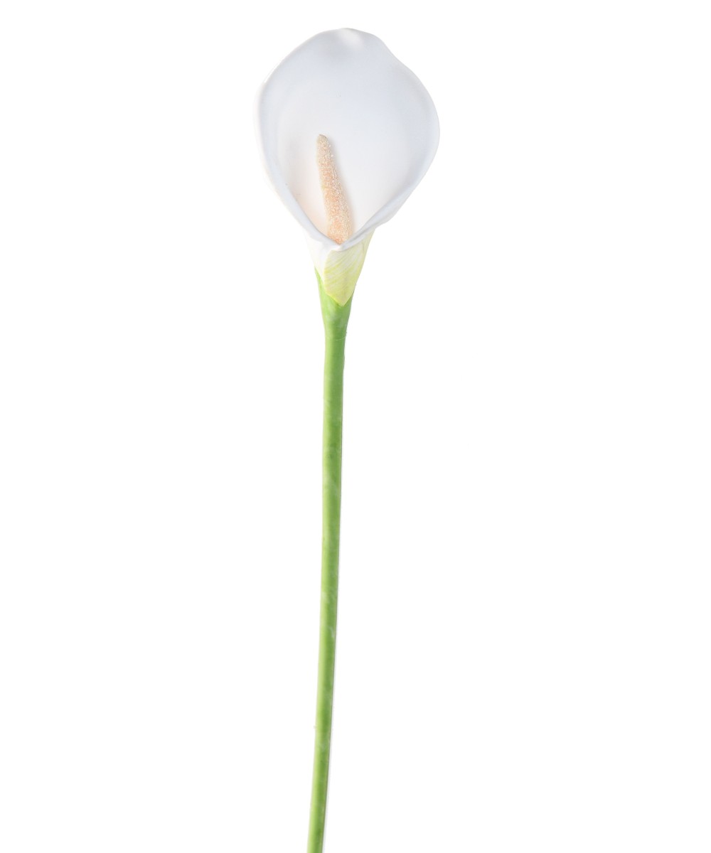 Artificial CALLA (ARUM)