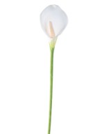 Kunstlik kalla (arum)