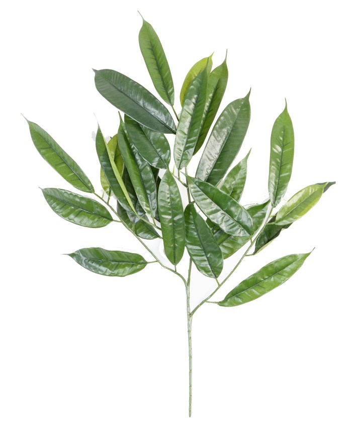 Kunstfikus LONGIFOLIA dekoratiivoks *25