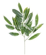 Kunstfikus LONGIFOLIA dekoratiivoks *25