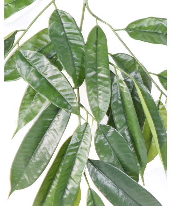 Kunstfikus LONGIFOLIA dekoratiivoks *25