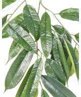 Kunstfikus LONGIFOLIA dekoratiivoks *25