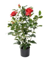 Artificial ROSE