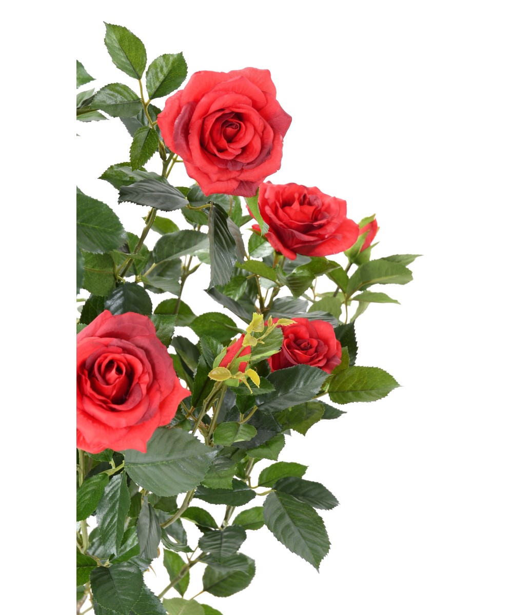 Artificial ROSE