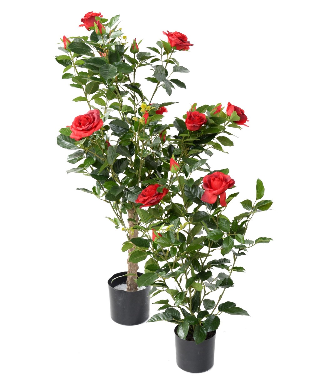 Artificial ROSE