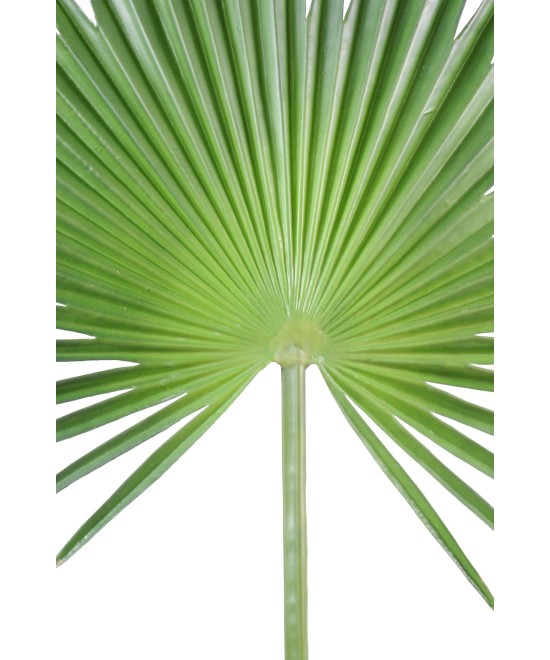 Artificial foliage PALM TREE CAMERUS