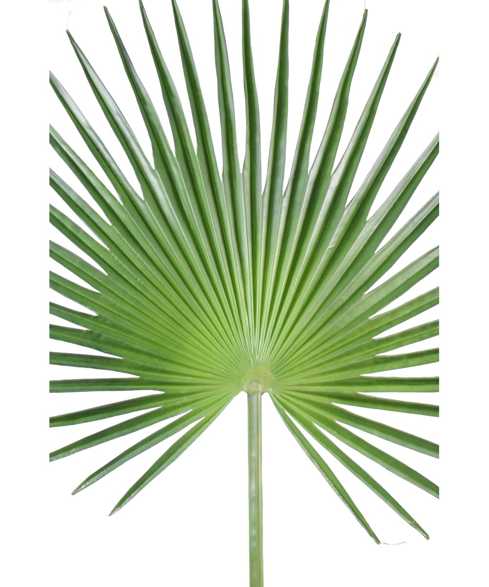 Artificial foliage PALM TREE CAMERUS